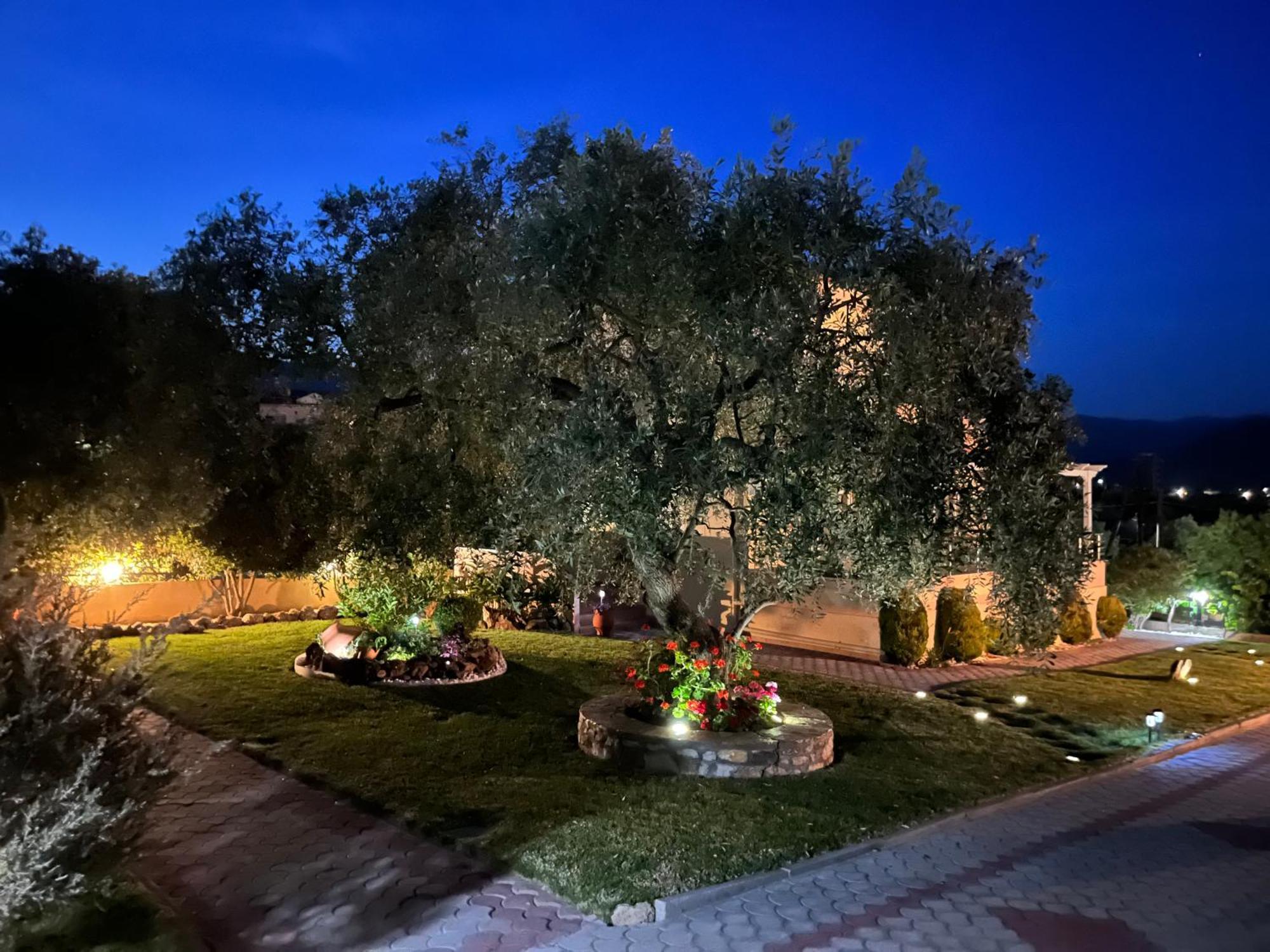 Ferienwohnung En Ethria Limenaria  Exterior foto
